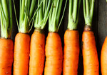 Tips to Recognize Organic Food Companies