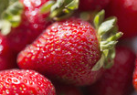 10 Tips to Buy Organic Food