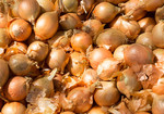 Mental, Emotional, and Physical Benefits of Organic Food